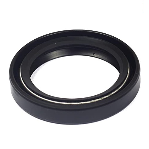 Briggs & Stratton Quantum & DOV 399781  Bottom Oil Seal