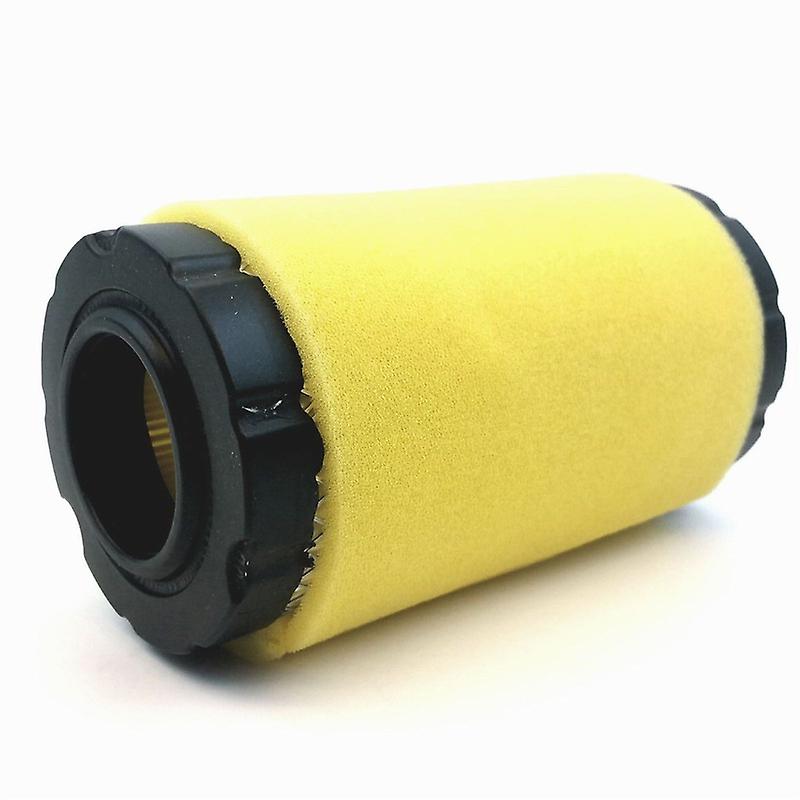 Briggs & Stratton Air Filter 793569 GY21055