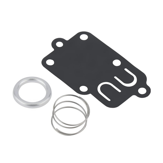 Briggs & Stratton Carburetor Diaphragm & Gasket Set 270026