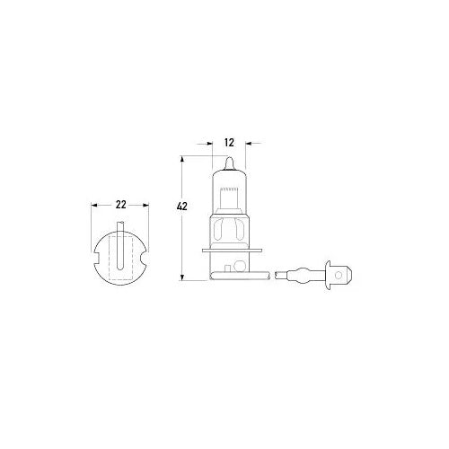 H3 Headlight Bulb 12V 55W