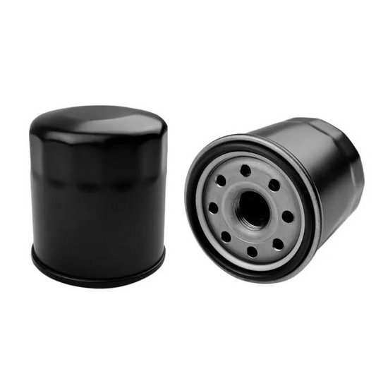 Oil Filter Compatible with Ryco Z386